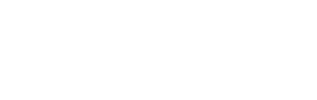 The European Business Review